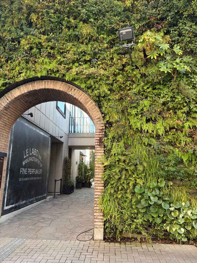 会場のいちばん手前にある入り口。草の生えた壁が雰囲気があって、わくわくします。