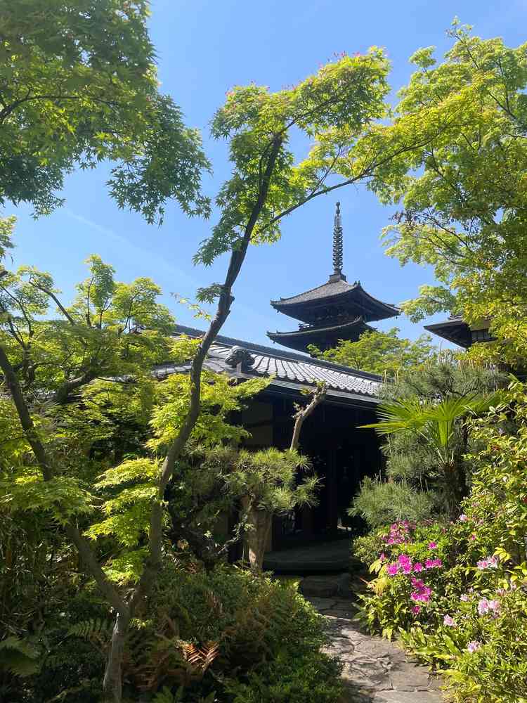 ユーザーが投稿した画像2