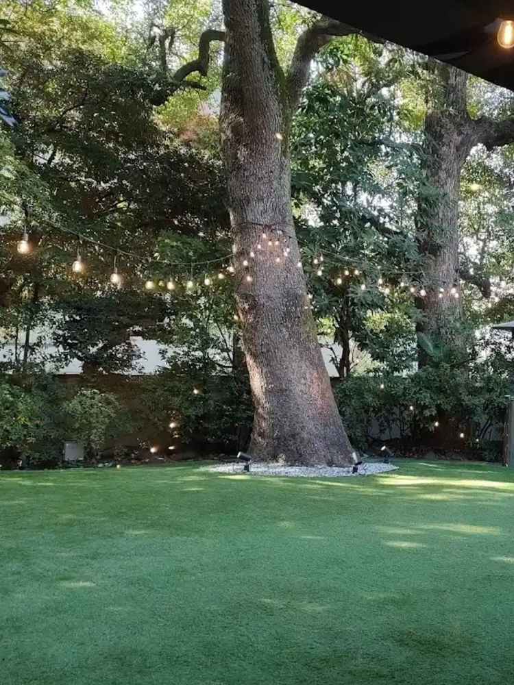 食事場所から見えるガーデンの様子。ガーデン側はガラス張りのためどの席からも雰囲気を楽しむことができる