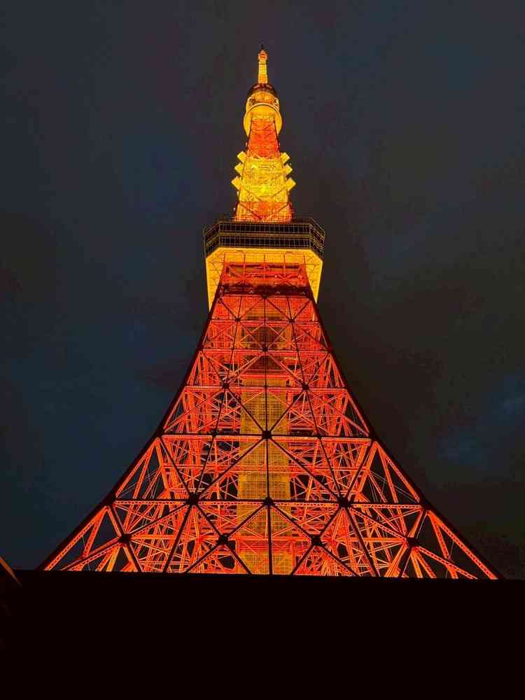 ユーザーが投稿した画像5