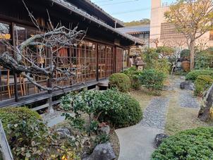 自然豊かな庭があり、フォトスポットとしても間違いないと感じました。