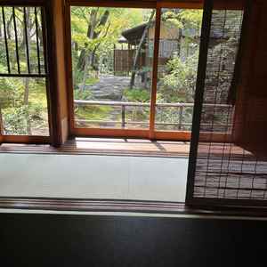 試食を頂いた個室から見えたお庭。９月に訪問したので緑がとても素敵でした。