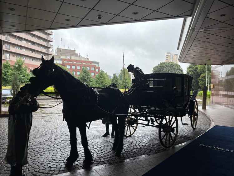 ホースパレード。雨の日は馬車に屋根がついているので、雨でも実施できるのが良かった。