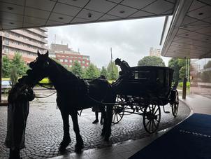ホースパレード。雨の日は馬車に屋根がついているので、雨でも実施できるのが良かった。