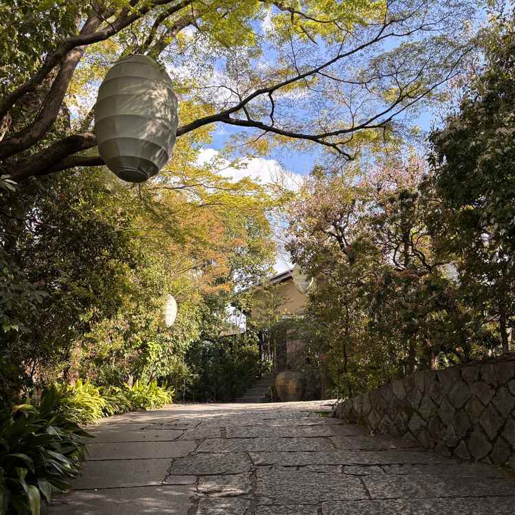 門を抜け敷地に入ってすぐの写真。観光地から一気に別世界に入ったような静かさと美しさが魅力でした。