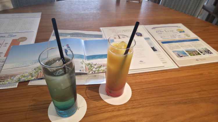 説明の際に提供していただいたノンアルコールカクテル。ドリンクの種類も多く対応がよかった。