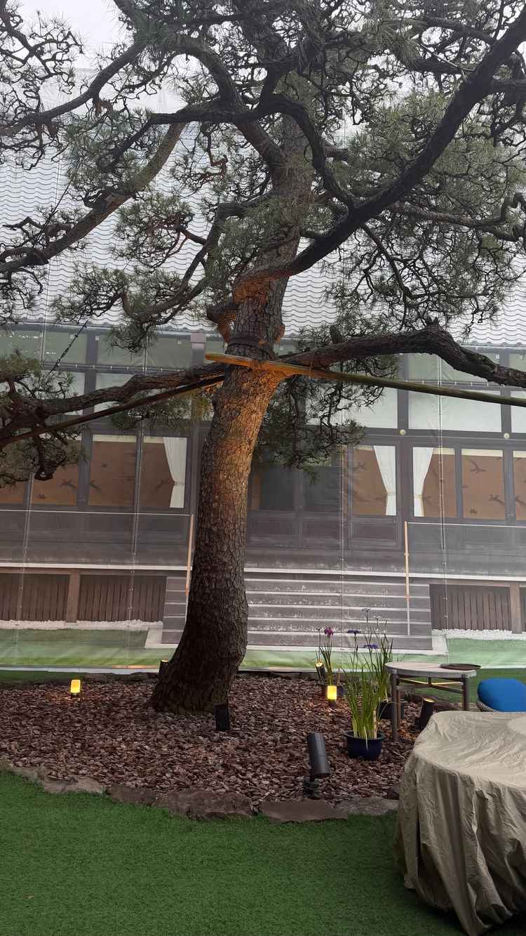 樹齢の長い植物や自然もあり、良い空間でした