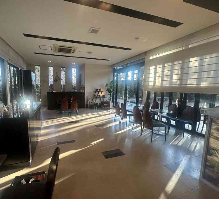 入口入ってすぐにラウンジがあり、外の木々が綺麗に見えるラウンジでした。