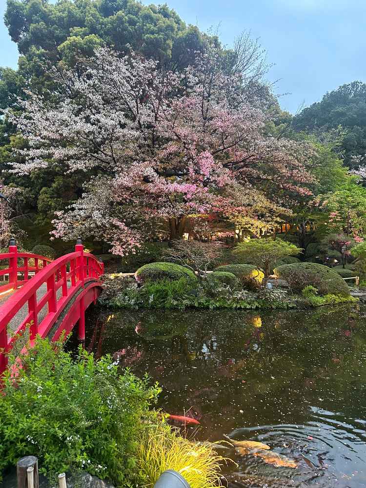 日本庭園。ここで写真を撮ることができる。