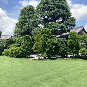 庭園がとても綺麗だった。常緑樹だからどのきせでも青々と綺麗なのも魅力だと思った。