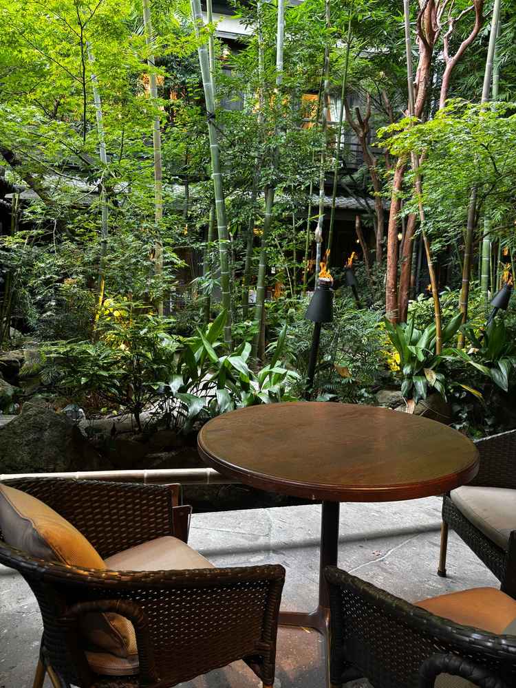 ウェルカムスペースになるところに庭があり、そこの景色がとても素敵でした。