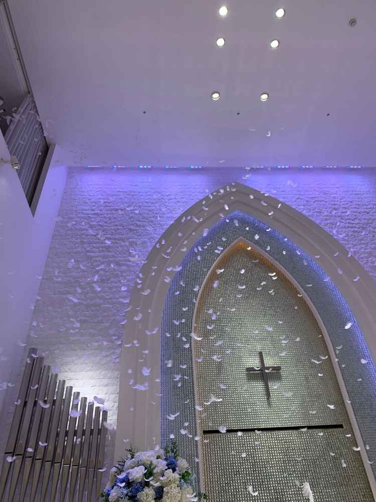 チャペルでフェザーシャワーをしていただいた時。子供たちが大興奮でした。