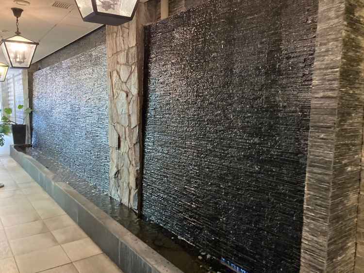 入口直後の雰囲気。自然を感じる空間。