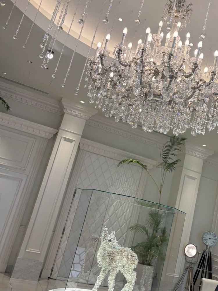 入り口には、豪華なシャンデリアや、スワロフスキーのモニュメントがあります。とても清潔感があります。