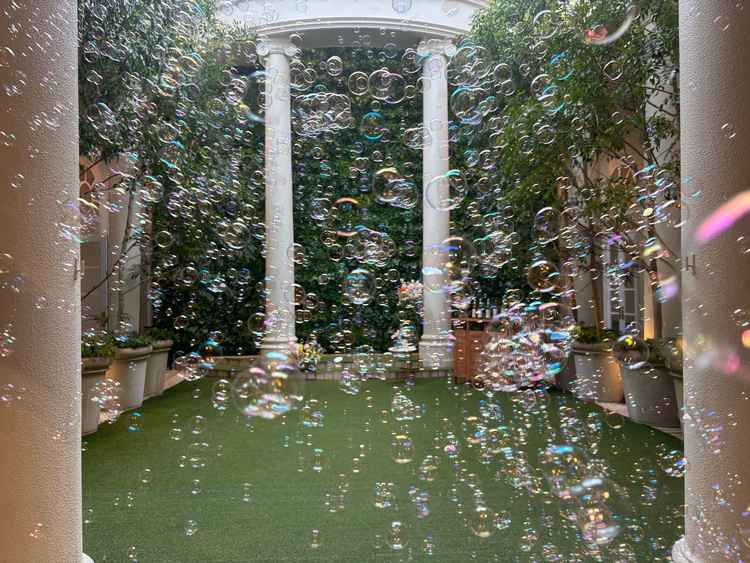 挙式後の場所。グリーンに覆われていて綺麗。