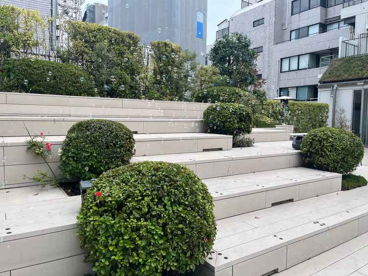 披露宴会場につながる庭