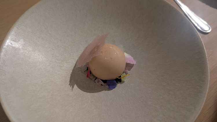 デザートが見た目のみならず食感も面白く味も美味しかったです。食事も大変美味しかったです。