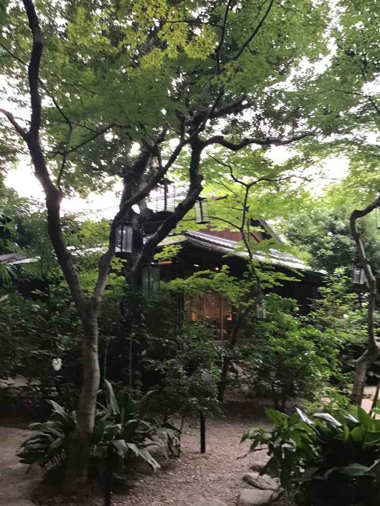 外の景色も自然がいっぱいなところに惹かれました。