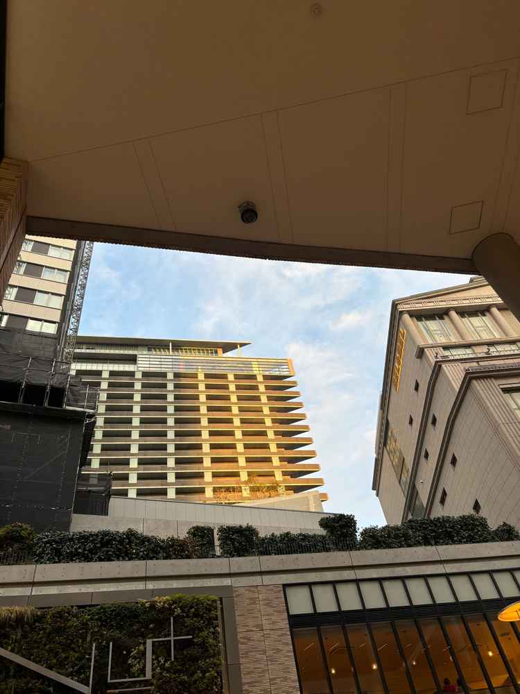 外から見ても透明で綺麗！