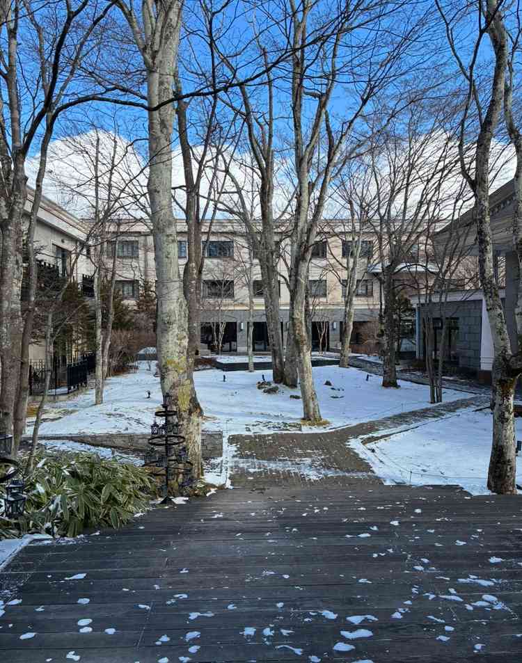 冬を越すと自然あふれる中庭に