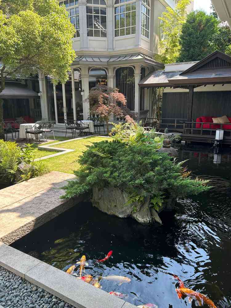 ユーザーが投稿した画像4