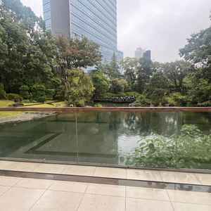 都会にありながら、緑が多く落ち着いた雰囲気でした。