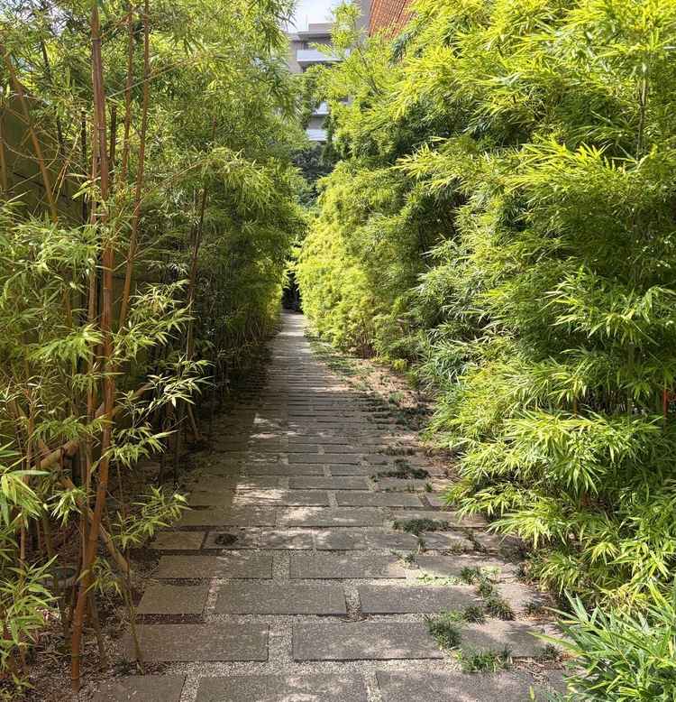 1番印象に残ったのがこの竹林です。都内にいるとは思えないくらいの緑が印象的でした。