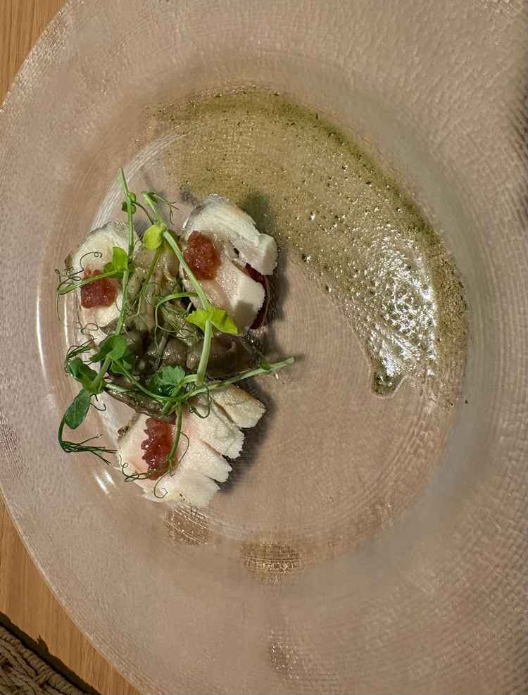 コース料理の試食です。鰆と梅の相性が良くとても美味しかったです。