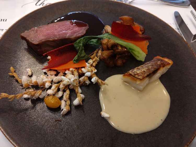 試食でいただいた料理。彩りはいいが味はそこまででした。