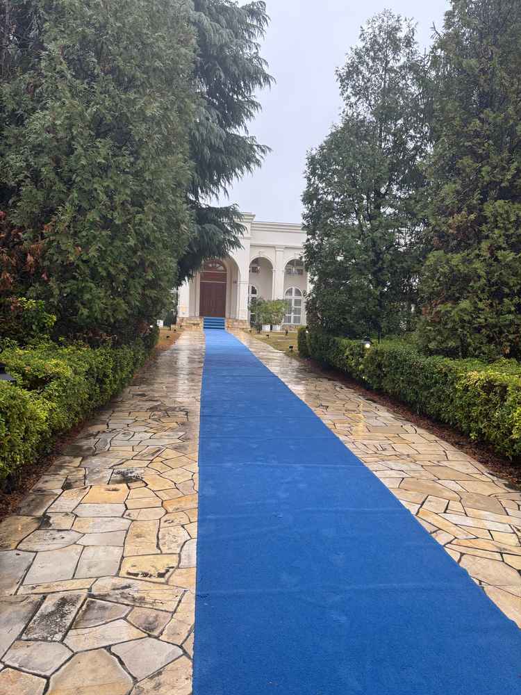 会場入り口の様子です。青いカーペットと長い道、写真にはありませんが大きい門が印象的でした。