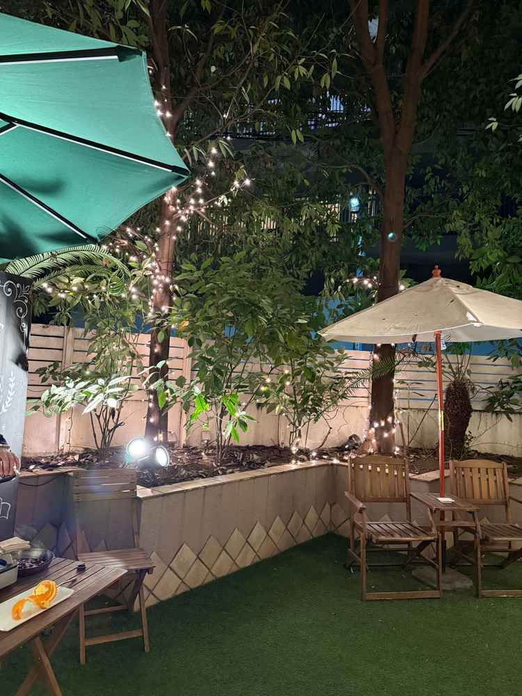 待合室ロビーの横にはちょっとした中庭があり、高い木で囲まれているのでプライベート感があり素敵でした