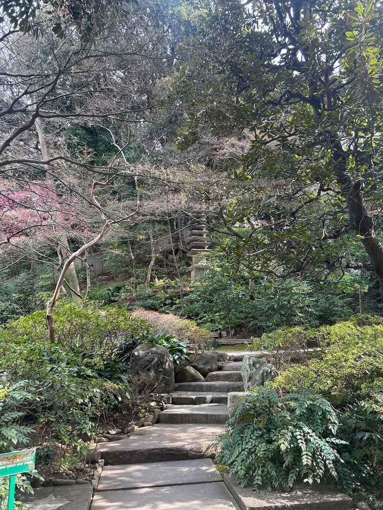 チャペルまでの道(お庭)