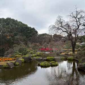 窓から見えた日本庭園です。