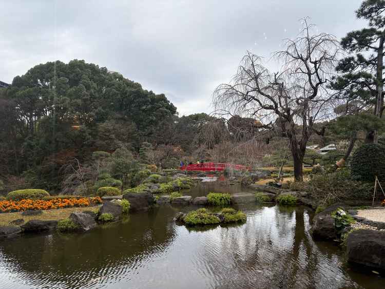 窓から見えた日本庭園です。