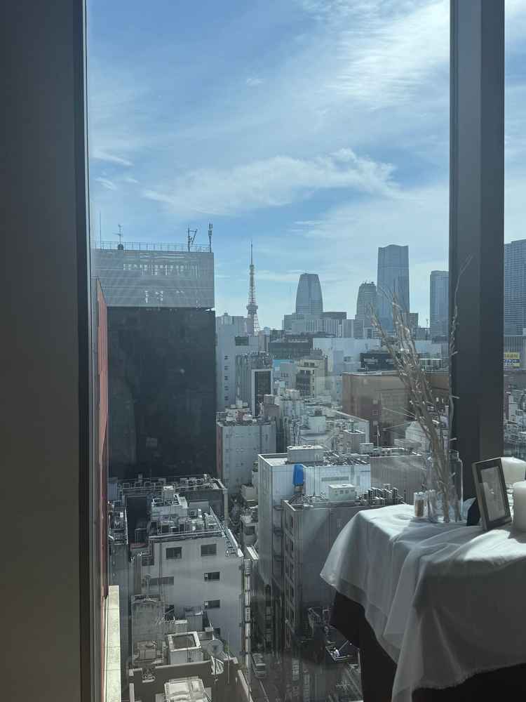 東京タワーが見えます。