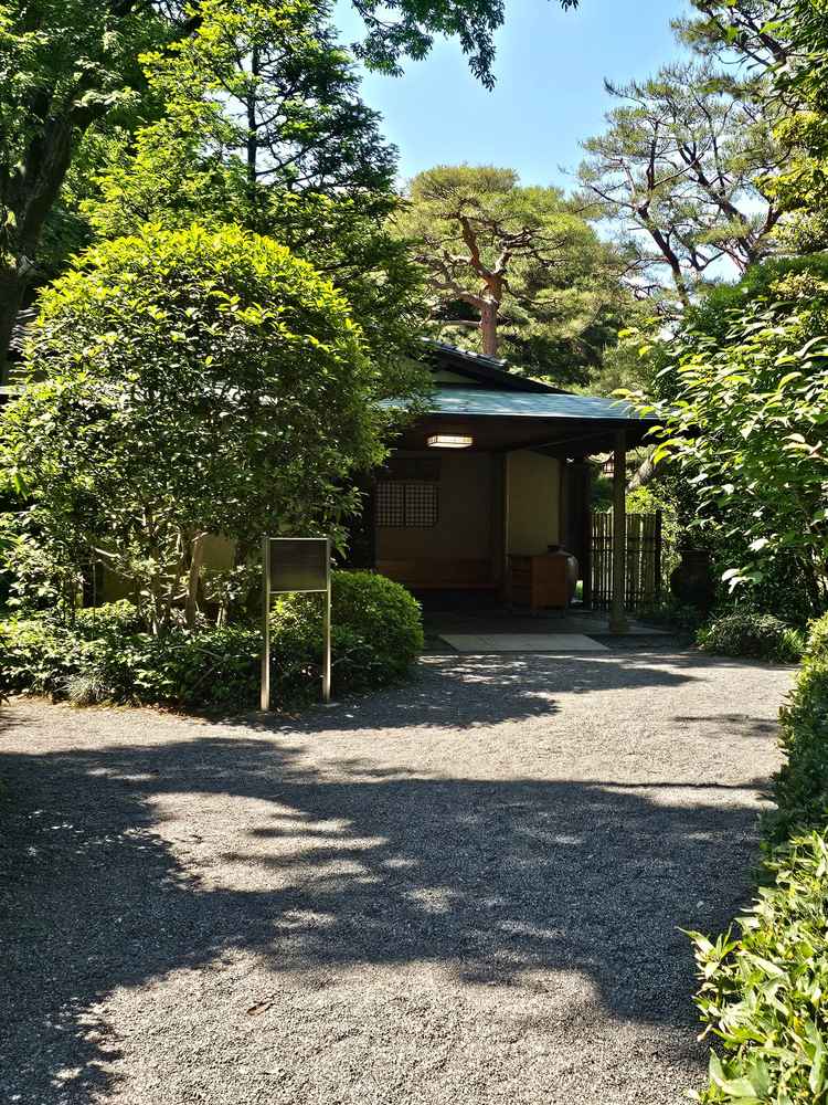 桃林荘も特別に見せてもらいました。金額的に難しいと分かっていたので見れただけでもとても参考になりまし