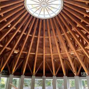 ユーザーが投稿した画像4