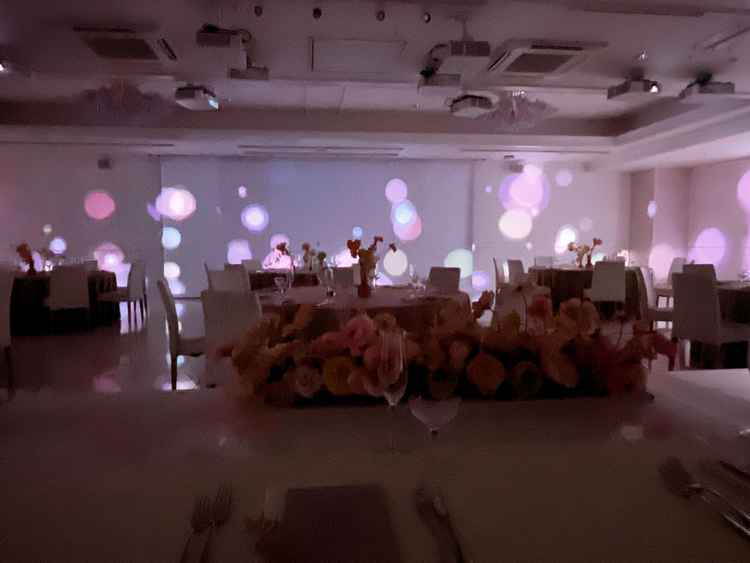 披露宴会場でプロジェクションマッピングを見ることができました。