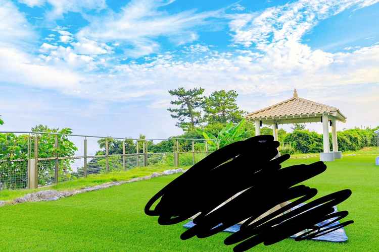 人工芝であり、外でのフラワーシャワー等が綺麗だと思った