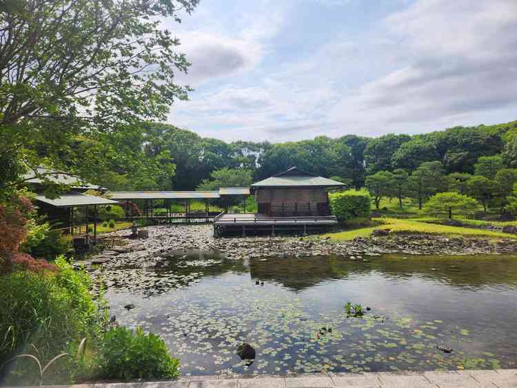 ユーザーが投稿した画像1