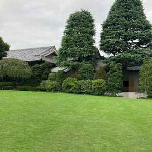 庭の景色です。都心でありながらビルなど一切見えません。庭では自然を背景にゲストと写真が撮れます。