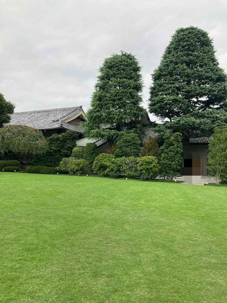 庭の景色です。都心でありながらビルなど一切見えません。庭では自然を背景にゲストと写真が撮れます。