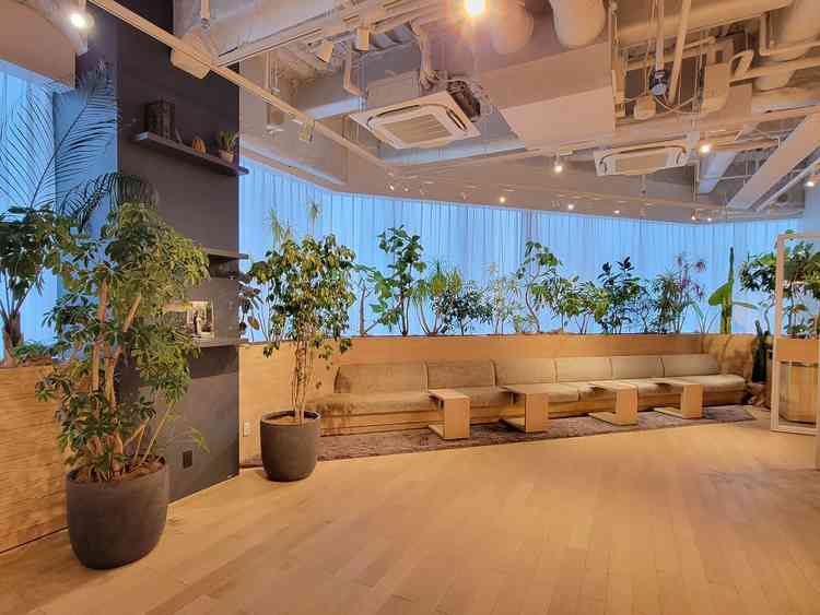 ベンチソファがやさしい雰囲気を演出し、ゲストがゆったりとくつろげそうな落ち着きのある空間と感じました