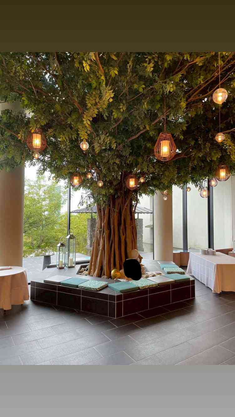 披露宴会場に木があってびっくりしました