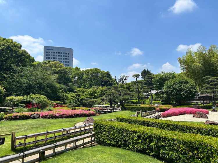 外から見た日本庭園