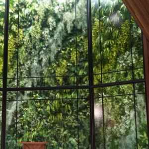 正面のガラスは曇りガラスになっており、植物が主張しすぎないようになっているそうです。