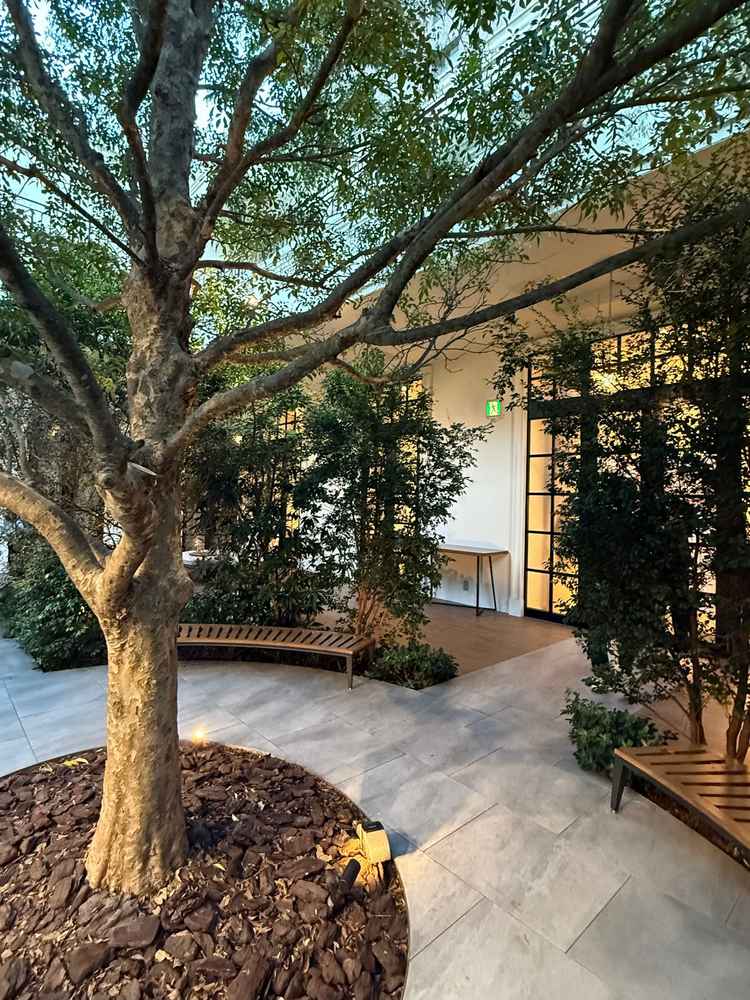 ガーデンの木が素敵でした。雨でも屋根のある場所から写真撮影ができるそうです。