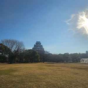 ユーザーが投稿した画像1をもっと見る