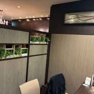 打ち合わせブース。半個室として仕切れているだけでなく落ち着いた色や植物があって良かった。