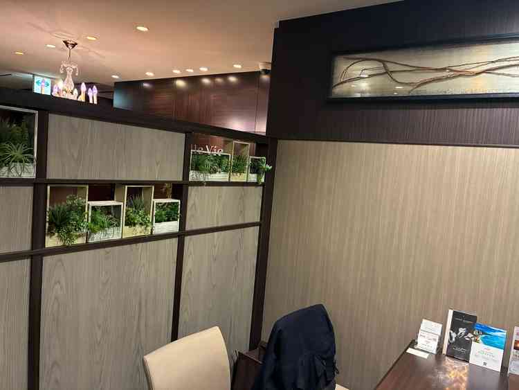 打ち合わせブース。半個室として仕切れているだけでなく落ち着いた色や植物があって良かった。